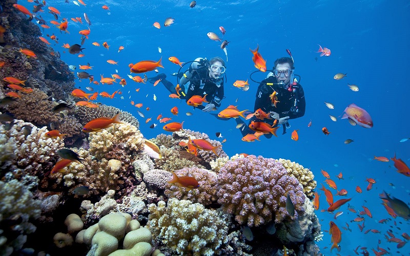 Lặn biển Phú Quốc – Trải nghiệm tuyệt vời khó quên tại Đảo Ngọc